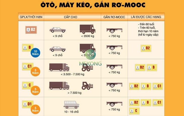 Tìm hiểu các loại bằng lái xe ở Việt Nam được sử dụng năm 2023